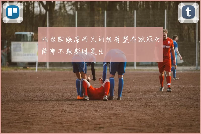帕尔默缺席两天训练有望在欧冠对阵那不勒斯时复出